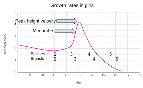 Is it possible to grow taller after 20? Will I Grow Taller I Am A 15 Year Old Girl That S 5 6 And Is 50kg Or Have I Reached My Fullest Height Quora