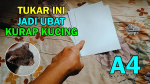 Ramai tak tahu minyak zaitun boleh sembuhkan gatal di paha. 8 07 Mb Buat Kucing Ubat Kurap Dari Kertas A4 Download Lagu Mp3 Gratis Mp3 Dragon