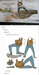 Despite these cats didn't grace the silver screen like monty and grumpy and just live their ordinary feline life, they still manage to make good cat memes. The Ol Razzle Dazzle Cats Know Your Meme