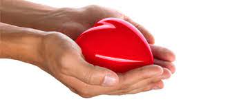 We did not find results for: Le Coeur Sur La Main