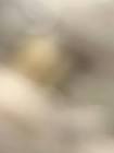 جي تي ار لتأجير السيارات الفارهة في دبي