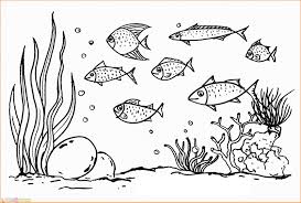 Adzka.my.id mempunyai koleksi gambar yang berhubungan dengan gambar ikan dalam laut kartun sebanyak 11 gambar. Download Sketsa Gambar Hewan Yang Gampang Diwarnai Untuk Tk Paud Sd Kanalmu