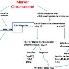 Pdf The Use Of Molecular Cytogenetic Techniques For The