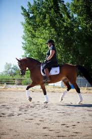 Una de mis actividades favoritas de verano era cabalgar. Horseback Riding In Spanish Fork Utah Utah County