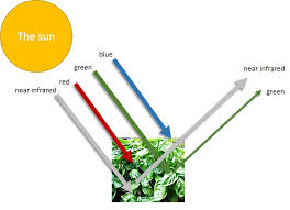 remote sensing part 3 identify healthy vegetation from space