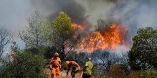 Le feu aurait débuté aux abords de l'autoroute. Vhdcw4xadbqkvm