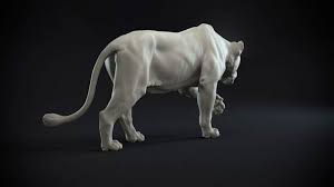 Biography get the grappling hook, i'm going up! is what many a man has mused over this gorgeous giantess and lanky lioness. This Was A Study That I Started While Ago To Do Some Animal Sculpting Hope You Like It Cat Anatomy Animal Sculptures Lioness