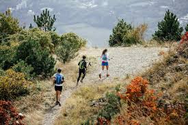 Notre plan d'entraînement pour un trail long (50 kilomètres) : Plan D Entrainement Pour Un Trail De 40 A 45 Km Avec 3 000 M De Denivele Positif Lepape Info