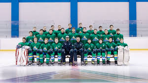 Hockey club ufa salavat yulaev. Komandy Sportivnoj Shkoly Hk Salavat Yulaev