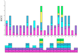 Image result for Decorsea schlechteri