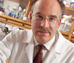 National Foundation for Cancer Research 2012 Progress Report