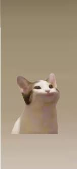 Operates sections of wefunder.com where certain regulation d and regulation a+ offerings are available. Hd Popcat Wallpapers Peakpx