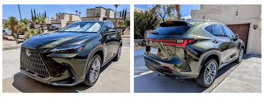 Image result for Nori Green 2022 UX