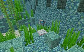 Prismarine, dark prismarine, prismarine bricks, or well, to start off, minecraft is one of those games that required a whole lotta people to get into the stores and famous. The Next Time You Raid An Ocean Monument Bring A Conduit And A Trapdoor Minecraft