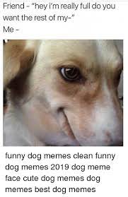 10 best funny animal memes on the internet 1 laughtered. Funny Friend Memes Clean Viral Memes