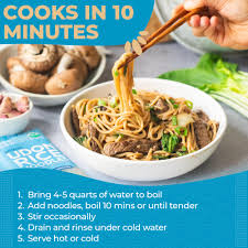 Amazon.com : Lotus Foods Organic Brown Udon Rice Noodles