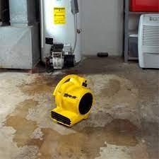 We did not find results for: How To Dry Out A Basement Fast A 2 Hour Step By Step Guide
