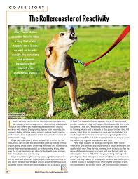 We did not find results for: Barks From The Guild September 2015 Crazy Dog Lady Dogs Reactive Dog