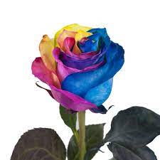 Yes, albertsons does sell flowers. Tinted Rainbow Roses 50 Cm Fresh Cut 50 Stems Walmart Com Walmart Com