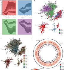 Image result for Xerophyta scabrida