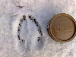 Maybe you would like to learn more about one of these? Lite Spar Fran Dagens Tur Utsidans Forum