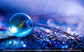 Blueish Water Bubble Hd Wallpaper Free Animated Wallpaper 3d Animation Wallpaper Desktop Wallpapers Backgrounds