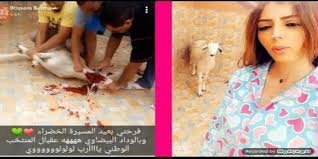 الكثير منا يشاهد البط في المنام، ولكن لا نعرف إذا كان تفسير هذا الحلم خير أم شر، ويختلف التفسير حسب حالة من رأى الرؤيا، فمثلًا تفسير رؤية البط في المنام للحامل يختلف تفسيرها عن رؤية البط في المنام للمتزوجة أو المطلقة Bulasici A Katiliyorum Frank Worthley Ù†Ø³Ø§Ø¡ ØªØ°Ø¨Ø­ Ø§Ù„Ø¨Ø· Sancakhaliyikamaa Com