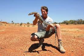 Al vele mogelijkheden gehoord (vaak hoornaar) maar nog niets met zekerheid. On Tour Freek Vonk Naturalis