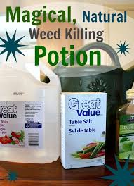 Pin On Gardening Tips Tools