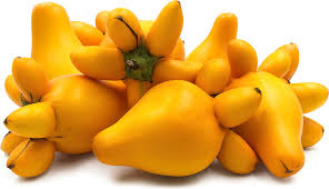 Image result for Solanum mammosum