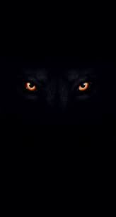 Check spelling or type a new query. Wolf Picture With Black Background Black And White Wolf Wallpaper Desktop Desk These Black Wallpaper On Your P Black Hd Wallpaper Wolf Wallpaper Wolf Eyes