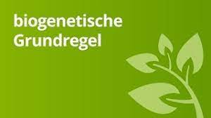 Von wem wurde das biogenetische grundgesetz und später die biogenetische grundregel formuliert. Uberblick Uber Die Biogenetische Grundregel Biologie Genetik Youtube