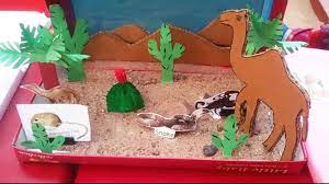 Kids School Project Ideas Types Of Animals Wild Animals Desert Animals D Desert Animals Animal Projects Cute Animal Names