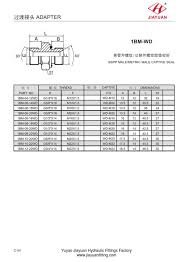 China Custom Male Bsp 60 Metric E Seal Manufacturers