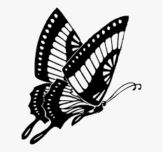 Download these amazing cliparts absolutely free and use these for creating your presentation, blog or website. Butterfly Black Black And White Butterfly Clip Art Butterfly Clipart Black And White Hd Png Download Kindpng
