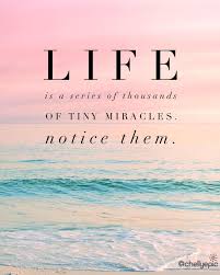 Life Is A Series Of Thousands Of Tiny Miracles Quotes Life Is A Series Of Thousands Of Tiny Miracles Notice Them Chellyepic With Images Miracle Quotes Sunset Quotes Life Quotes