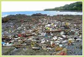 سبعة أنواع للتلوث البيئي ع ل منا