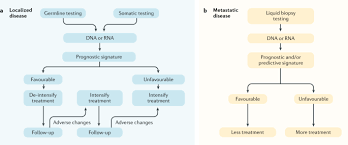 Following the initial transformation event, further mutations of a. Prostate Cancer Nature Reviews Disease Primers