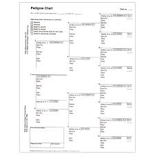 pedigree chart lds 4 generation