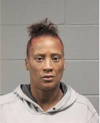 ᐅ Illinois Criminal Records 2009-2025