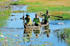 Discover the Best Things to Do in Tay Ninh, Vietnam: A Cultural and  Adventure Guide