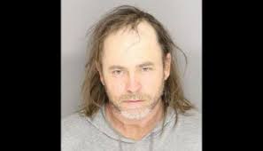 Suspicious car parked near woods results in two arrests