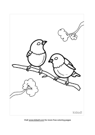 And on this set of free birds coloring pages for children, you will find a lot of different species from different countries and continents. Bird Coloring Pages Free Birds Coloring Pages Kidadl