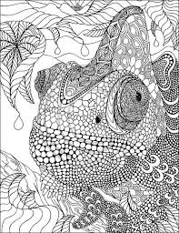 40 hübsche mandala vorlagen zum ausdrucken und ausmalen. 21 Mandalas Ideen Ausmalbilder Mandala Malvorlagen Ausmalen