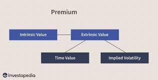Extrinsic Value Definition