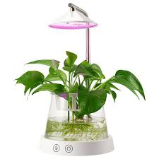 Torchstar Led Indoor Garden Kit Plant Grow Light Reviews Wayfair