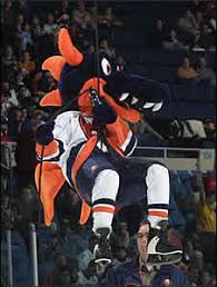 The new york islanders have sparky the dragon as their mascot and he's by far the best mascot i've ever seen. Sparky New York Islanders