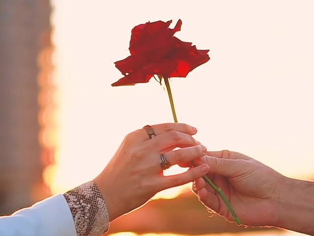 71 frases românticas de amor para emocionar quem você ama 💖 - Pensador