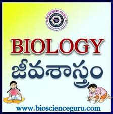 10th Biology Important Questions And Bitbank In Telugu Medium Educational Portal In Telugu Free Educational Science Materials For Andhra Pradesh And Telangana Biology Science Maths Physics Ssc And Upsc Exams Science Guru