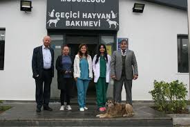 Kadikoy Hayvan Dostlarina Sahip Cikiyor Gazete Kadikoy Mobil